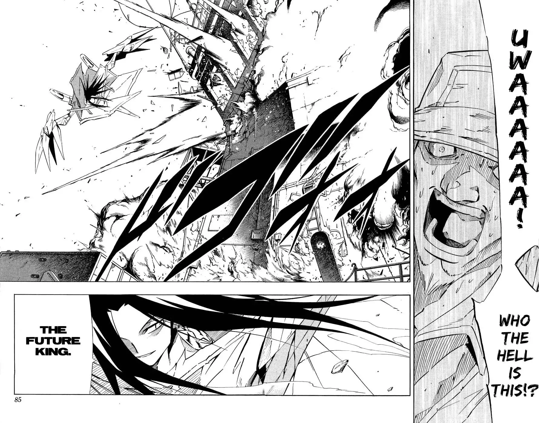 Shaman King Chapter 261 14